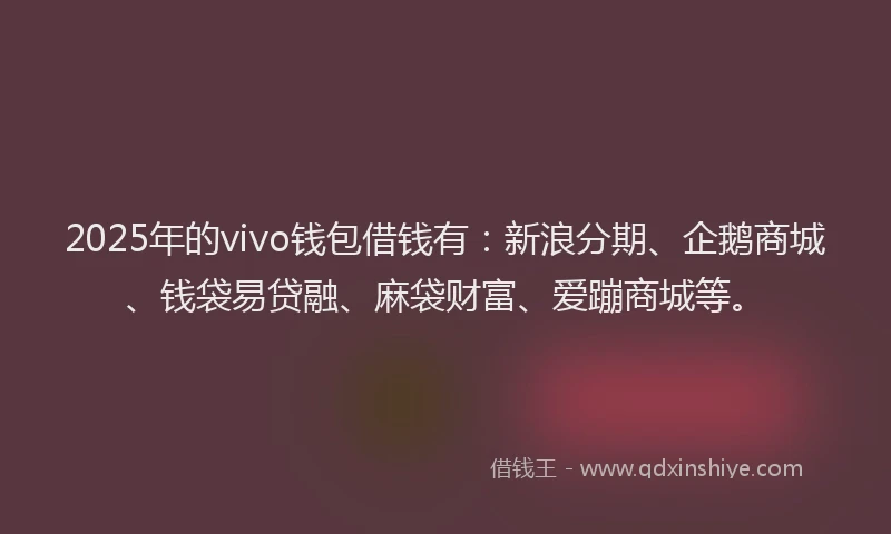 2025年的vivo钱包借钱有：新浪分期、企鹅商城、钱袋易贷融、麻袋财富、爱蹦商城等。