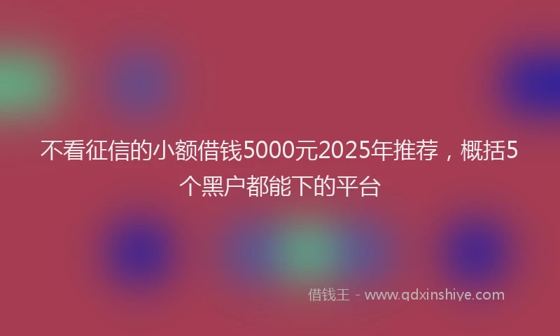 不看征信的小额借钱5000元2025年推荐，概括5个黑户都能下的平台
