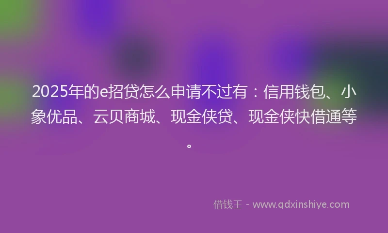 2025年的e招贷怎么申请不过有：信用钱包、小象优品、云贝商城、现金侠贷、现金侠快借通等。
