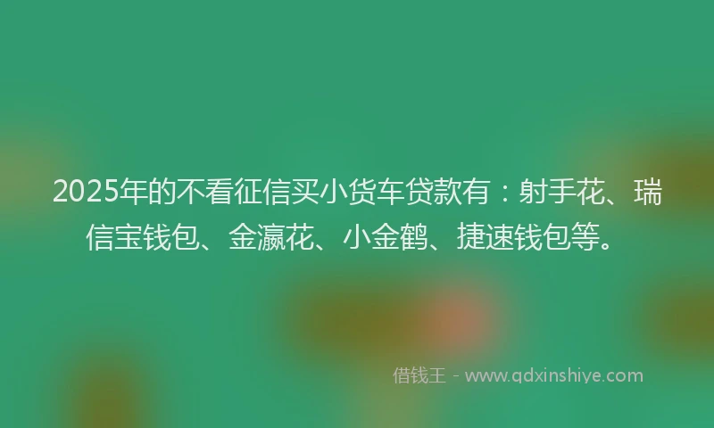 2025年的不看征信买小货车贷款有：射手花、瑞信宝钱包、金瀛花、小金鹤、捷速钱包等。
