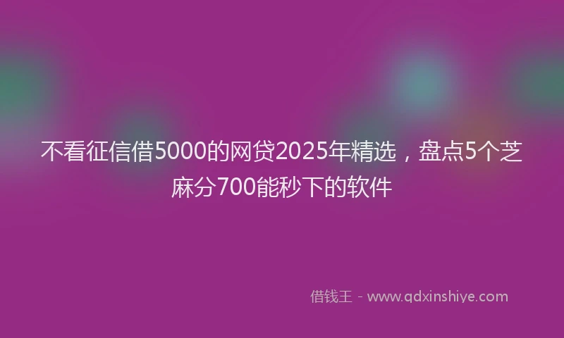 不看征信借5000的网贷2025年精选，盘点5个芝麻分700能秒下的软件
