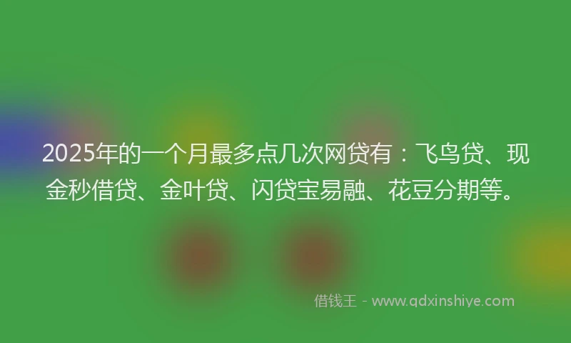 2025年的一个月最多点几次网贷有：飞鸟贷、现金秒借贷、金叶贷、闪贷宝易融、花豆分期等。
