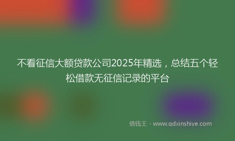 不看征信大额贷款公司2025年精选，总结五个轻松借款无征信记录的平台
