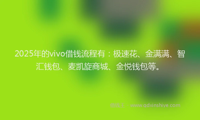 2025年的vivo借钱流程有：极速花、金满满、智汇钱包、麦凯旋商城、金悦钱包等。