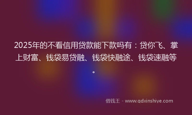 2025年的不看信用贷款能下款吗有：贷你飞、掌上财富、钱袋易贷融、钱袋快融途、钱袋速融等。