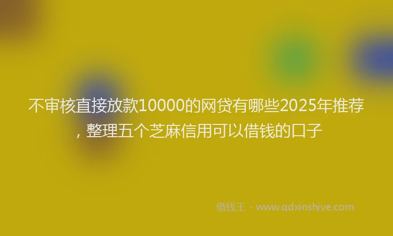 不审核直接放款10000的网贷有哪些2025年推荐，整理五个芝麻信用可以借钱的口子