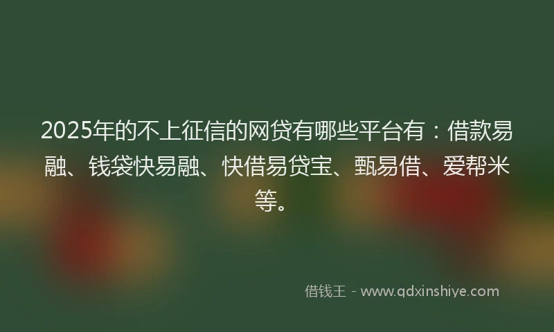 2025年的不上征信的网贷有哪些平台有：借款易融、钱袋快易融、快借易贷宝、甄易借、爱帮米等。