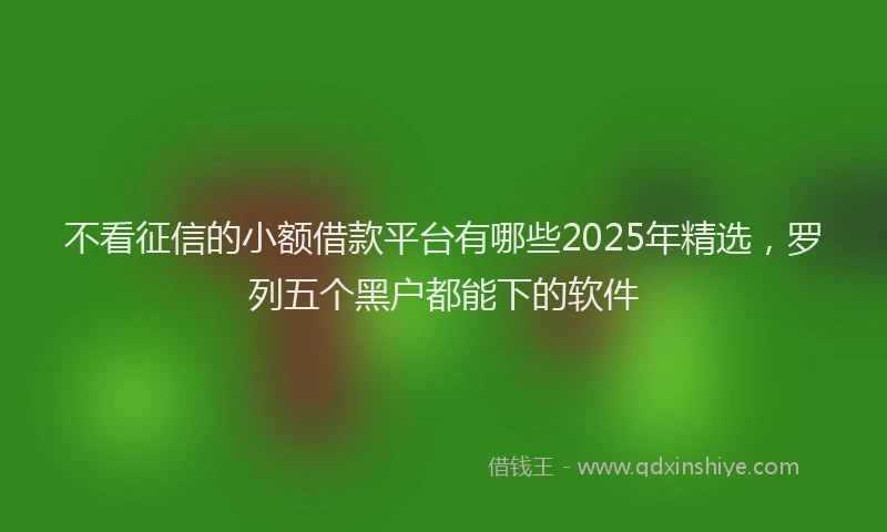 不看征信的小额借款平台有哪些2025年精选，罗列五个黑户都能下的软件