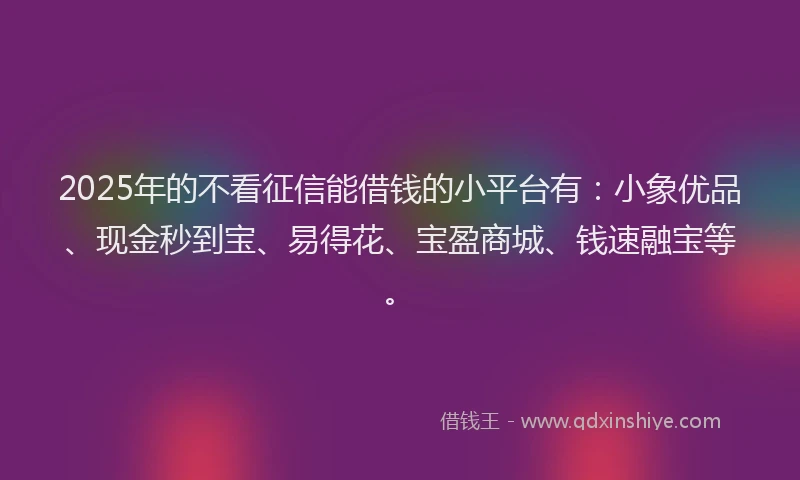 2025年的不看征信能借钱的小平台有：小象优品、现金秒到宝、易得花、宝盈商城、钱速融宝等。