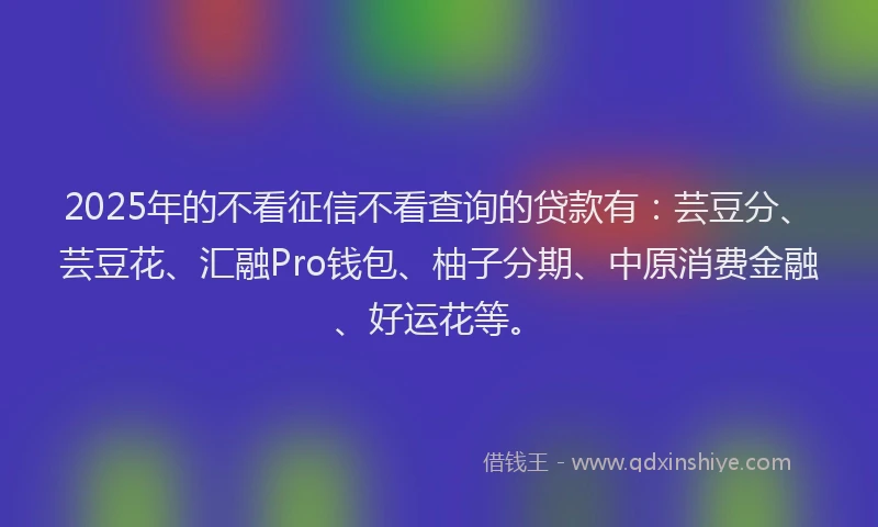 2025年的不看征信不看查询的贷款有：芸豆分、芸豆花、汇融Pro钱包、柚子分期、中原消费金融、好运花等。