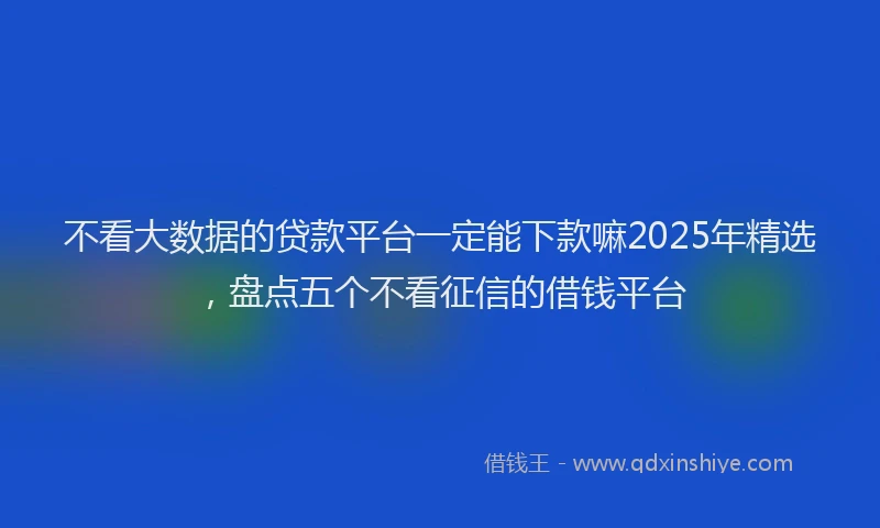 不看大数据的贷款平台一定能下款嘛2025年精选，盘点五个不看征信的借钱平台