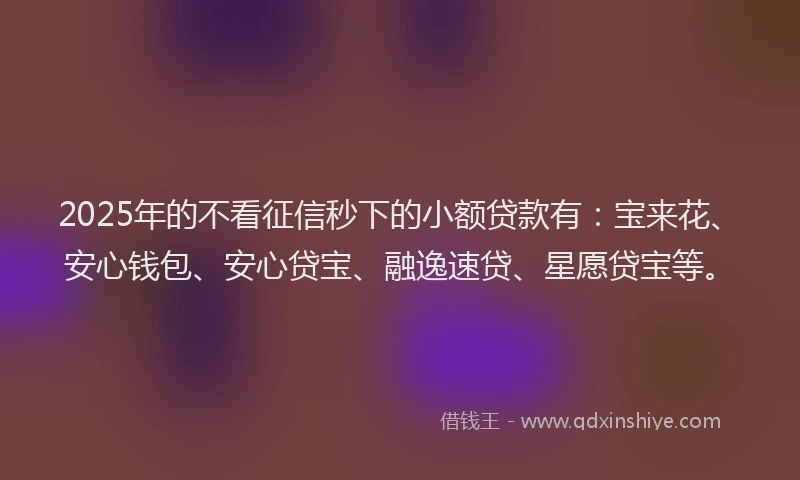 2025年的不看征信秒下的小额贷款有：宝来花、安心钱包、安心贷宝、融逸速贷、星愿贷宝等。