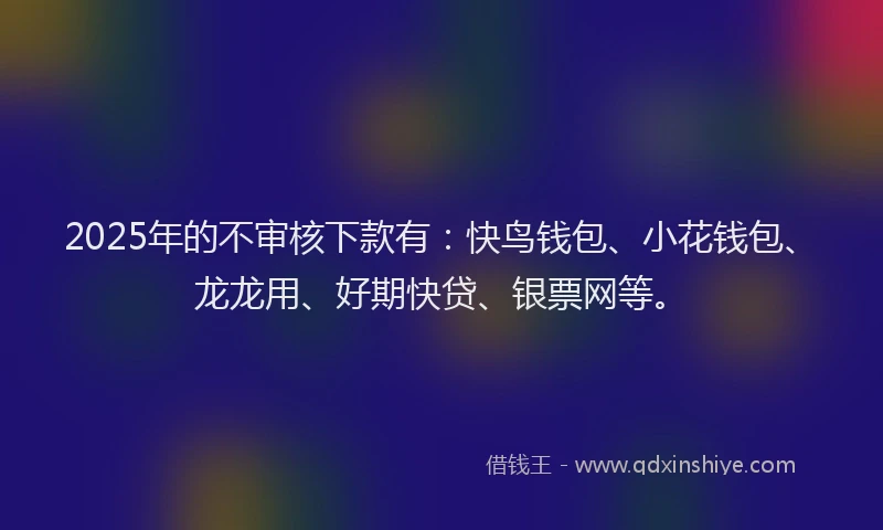 2025年的不审核下款有：快鸟钱包、小花钱包、龙龙用、好期快贷、银票网等。