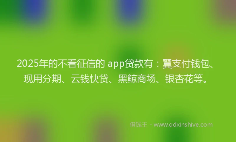 2025年的不看征信的 app贷款有：翼支付钱包、现用分期、云钱快贷、黑鲸商场、银杏花等。