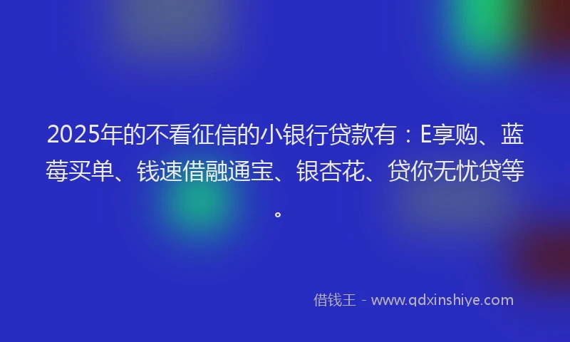 2025年的不看征信的小银行贷款有：E享购、蓝莓买单、钱速借融通宝、银杏花、贷你无忧贷等。