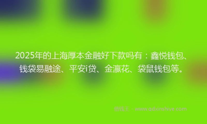 2025年的上海厚本金融好下款吗有：鑫悦钱包、钱袋易融途、平安i贷、金瀛花、袋鼠钱包等。