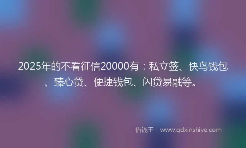 2025年的不看征信20000有：私立签、快鸟钱包、臻心贷、便捷钱包、闪贷易融等。