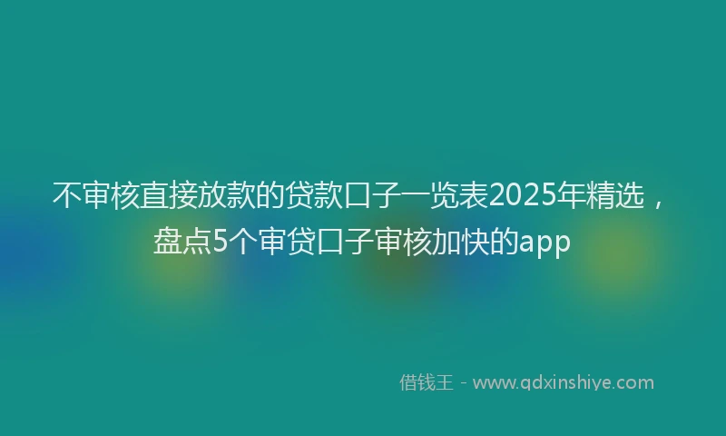 不审核直接放款的贷款口子一览表2025年精选，盘点5个审贷口子审核加快的app