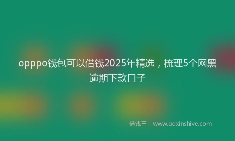 opppo钱包可以借钱2025年精选，梳理5个网黑逾期下款口子