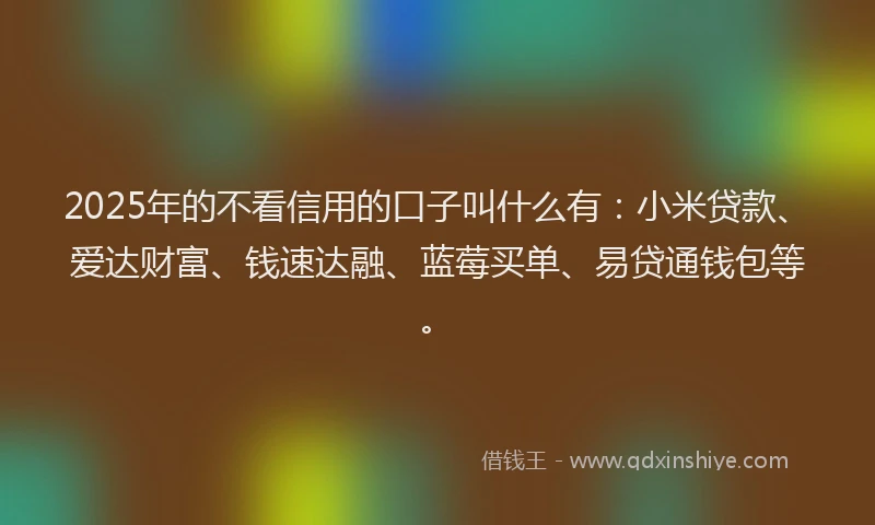 2025年的不看信用的口子叫什么有：小米贷款、爱达财富、钱速达融、蓝莓买单、易贷通钱包等。