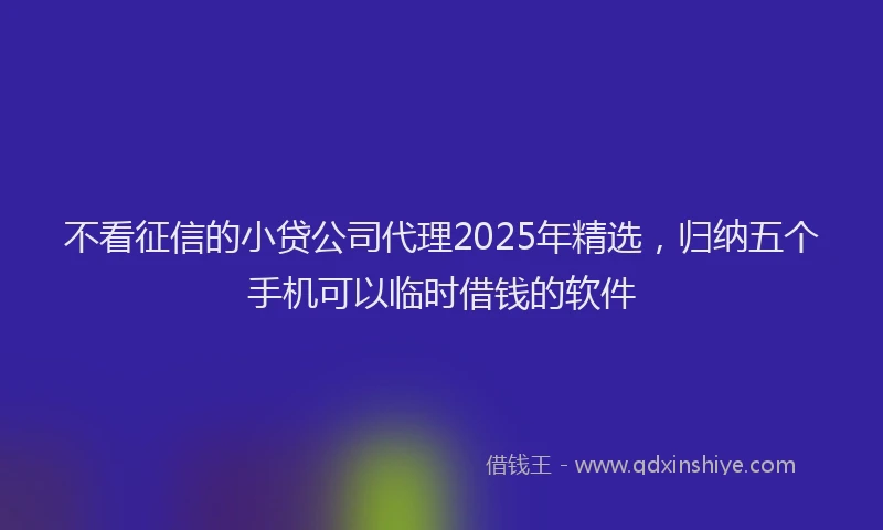 不看征信的小贷公司代理2025年精选，归纳五个手机可以临时借钱的软件