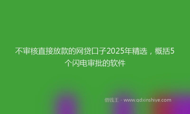 不审核直接放款的网贷口子2025年精选，概括5个闪电审批的软件