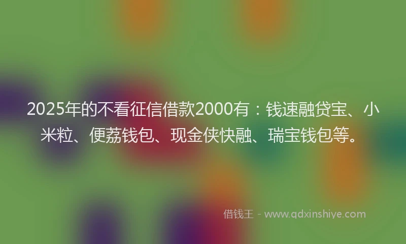 2025年的不看征信借款2000有：钱速融贷宝、小米粒、便荔钱包、现金侠快融、瑞宝钱包等。