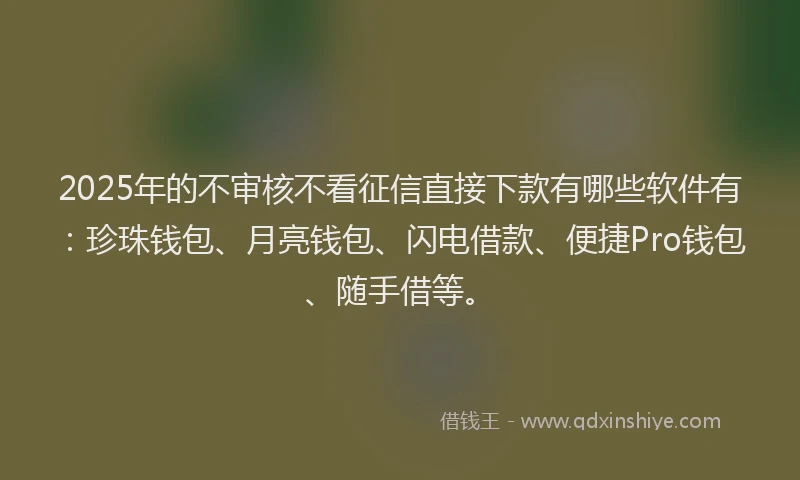 2025年的不审核不看征信直接下款有哪些软件有：珍珠钱包、月亮钱包、闪电借款、便捷Pro钱包、随手借等。