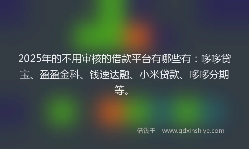 2025年的不用审核的借款平台有哪些有：哆哆贷宝、盈盈金科、钱速达融、小米贷款、哆哆分期等。