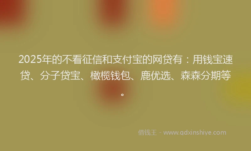 2025年的不看征信和支付宝的网贷有：用钱宝速贷、分子贷宝、橄榄钱包、鹿优选、森森分期等。