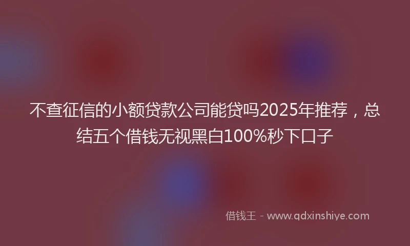 不查征信的小额贷款公司能贷吗2025年推荐，总结五个借钱无视黑白100%秒下口子