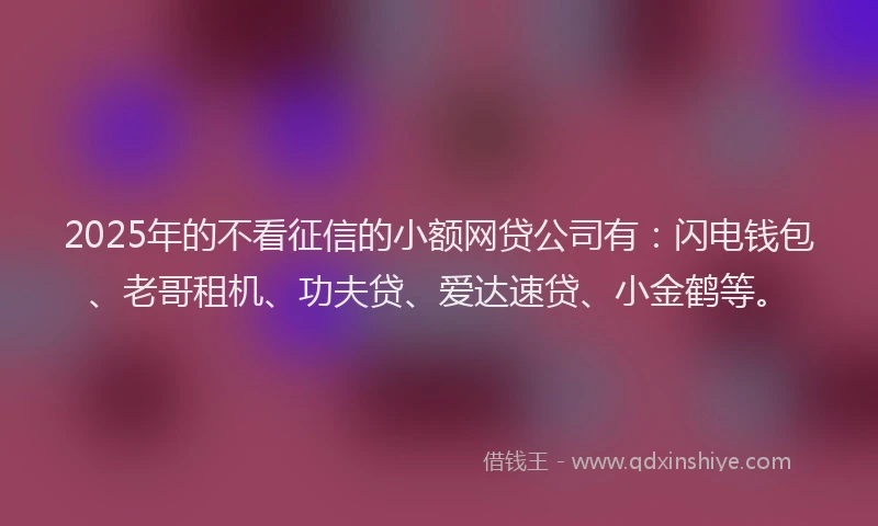 2025年的不看征信的小额网贷公司有：闪电钱包、老哥租机、功夫贷、爱达速贷、小金鹤等。