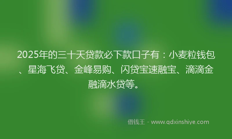 2025年的三十天贷款必下款口子有：小麦粒钱包、星海飞贷、金峰易购、闪贷宝速融宝、滴滴金融滴水贷等。
