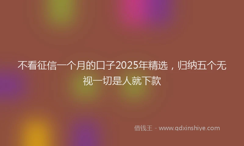 不看征信一个月的口子2025年精选，归纳五个无视一切是人就下款