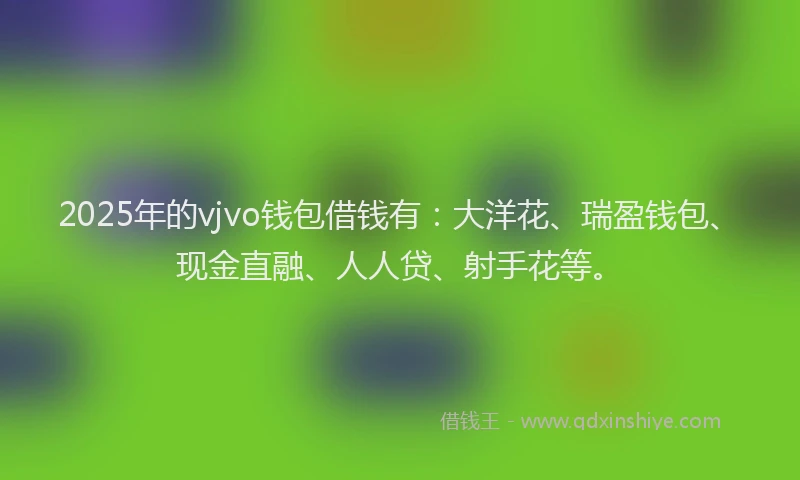 2025年的vjvo钱包借钱有：大洋花、瑞盈钱包、现金直融、人人贷、射手花等。