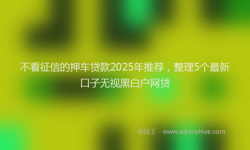 不看征信的押车贷款2025年推荐，整理5个最新口子无视黑白户网贷