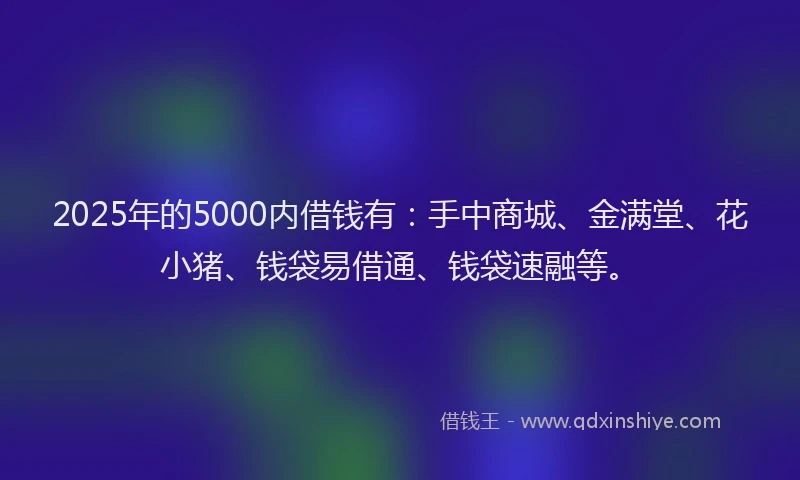 2025年的5000内借钱有：手中商城、金满堂、花小猪、钱袋易借通、钱袋速融等。