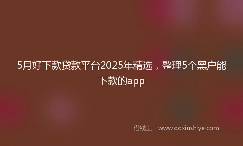 5月好下款贷款平台2025年精选，整理5个黑户能下款的app