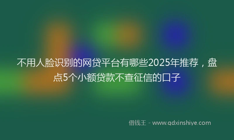 不用人脸识别的网贷平台有哪些2025年推荐，盘点5个小额贷款不查征信的口子