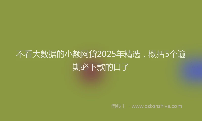 不看大数据的小额网贷2025年精选，概括5个逾期必下款的口子