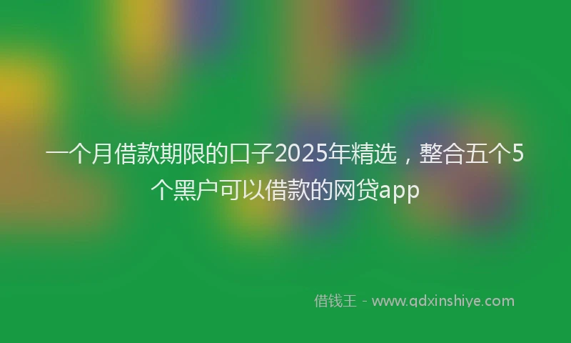 一个月借款期限的口子2025年精选，整合五个5个黑户可以借款的网贷app