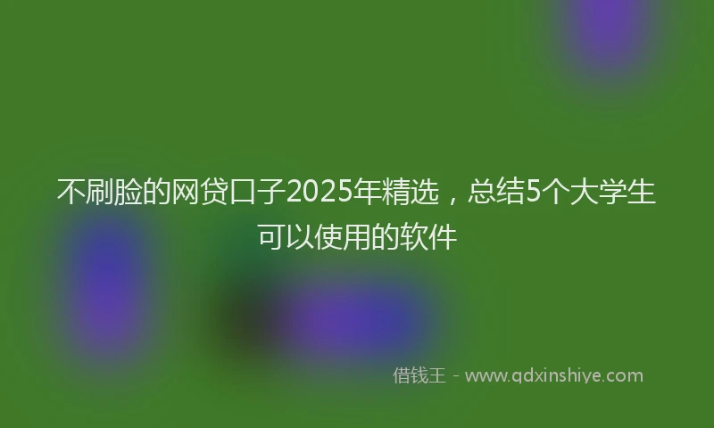 不刷脸的网贷口子2025年精选，总结5个大学生可以使用的软件