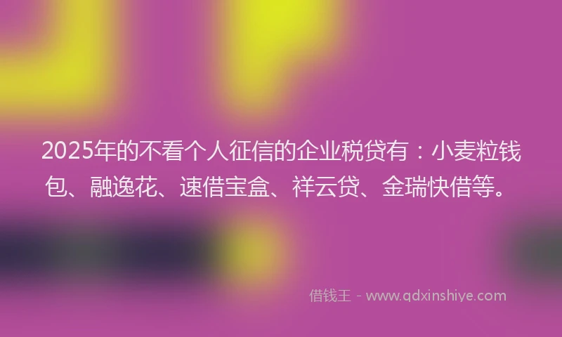 2025年的不看个人征信的企业税贷有：小麦粒钱包、融逸花、速借宝盒、祥云贷、金瑞快借等。