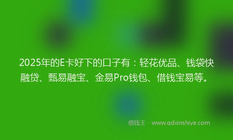 2025年的E卡好下的口子有：轻花优品、钱袋快融贷、甄易融宝、金易Pro钱包、借钱宝易等。