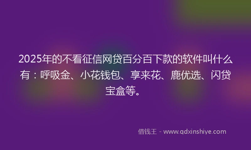 2025年的不看征信网贷百分百下款的软件叫什么有：呼吸金、小花钱包、享来花、鹿优选、闪贷宝盒等。