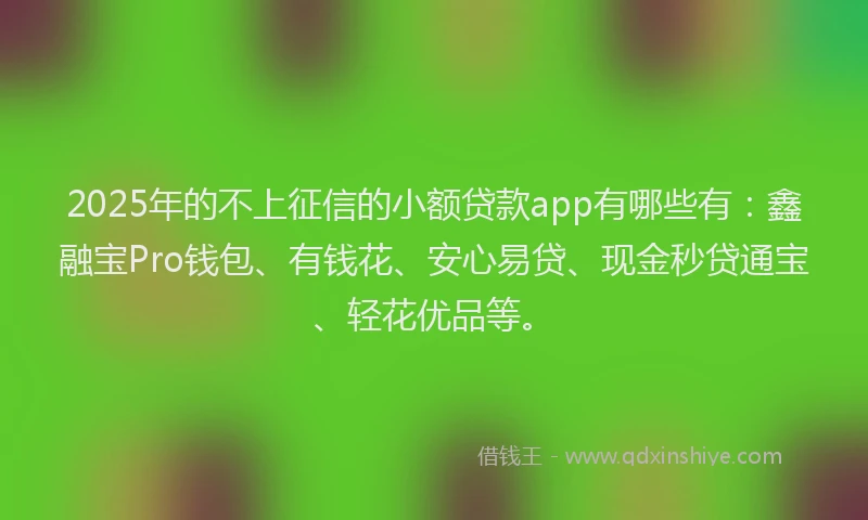 2025年的不上征信的小额贷款app有哪些有：鑫融宝Pro钱包、有钱花、安心易贷、现金秒贷通宝、轻花优品等。