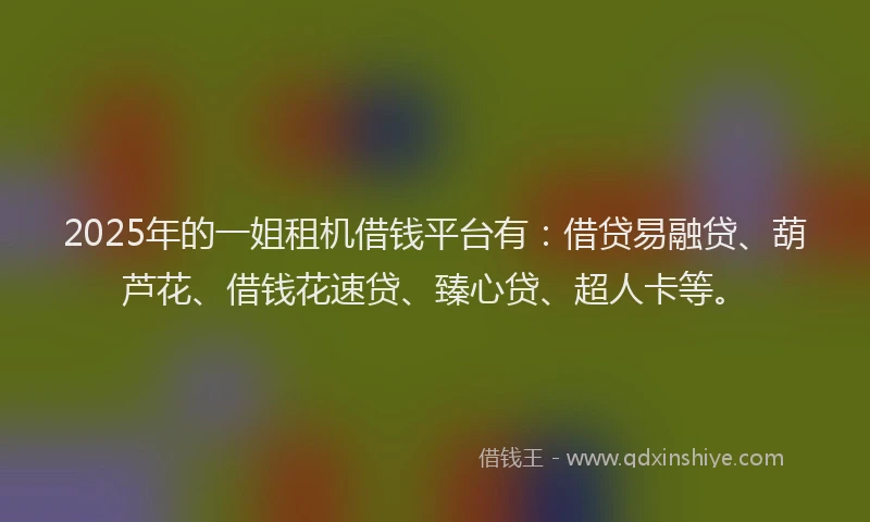 2025年的一姐租机借钱平台有：借贷易融贷、葫芦花、借钱花速贷、臻心贷、超人卡等。