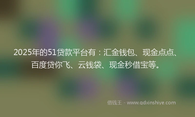 2025年的51贷款平台有：汇金钱包、现金点点、百度贷你飞、云钱袋、现金秒借宝等。