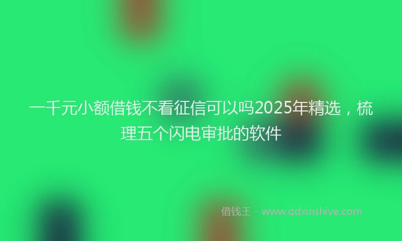 一千元小额借钱不看征信可以吗2025年精选，梳理五个闪电审批的软件