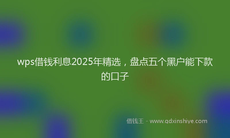 wps借钱利息2025年精选，盘点五个黑户能下款的口子